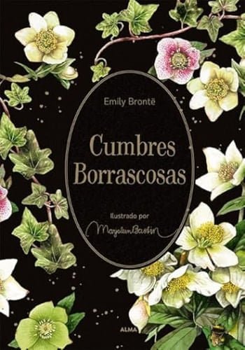 CUMBRES BORRASCOSAS (JARDIN SECRETO)