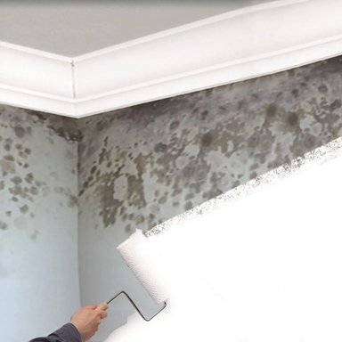 IMPRIMANTE MOLD KILLING PRIMER ELIMINA HONGO Y MOHO 3,785L - 5