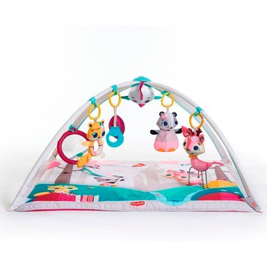 GIMNASIO DELUXE TINY LOVE PRINCESS TALES