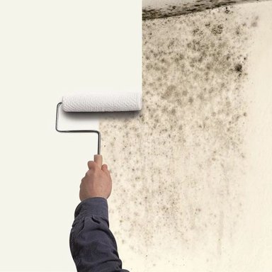 IMPRIMANTE MOLD KILLING PRIMER ELIMINA HONGO Y MOHO 3,785L - 3