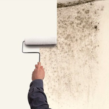 IMPRIMANTE ELIMINADOR DE HONGO ZINSSER 0.946L - 2