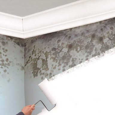 IMPRIMANTE ELIMINADOR DE HONGO ZINSSER 0.946L - 5