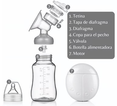 EXTRACTOR DE LECHE ELECTRICO DOBLE + 2 BIBERONES 150 ML + 1 BIBERON AVENT RECIEN NACIDO + 25 BOLSAS AVENT PARA LECHE MATERNA - 2