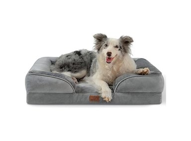 CAMA ORTOPÉDICA MASCOTAS TALLA L GRIS BEDSURE