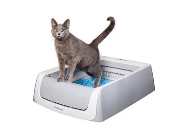 ARENERO GATO PETSAFE AUTOMÁTICO