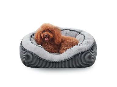 CAMA ORTOPÉDICA ALGODÓN PERROS TALLA M GRIS SIWA MARY