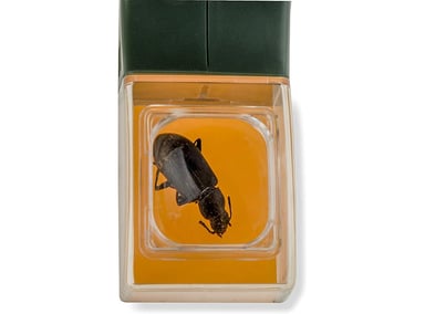 JUEGO EXTERIOR UNALUKA VERDE ATRAPA INSECTOS LUPA LIBERACION RAPIDA - 2