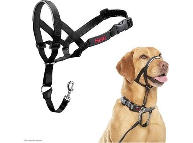 COLLAR PERROS MEDIANOS THE COMPANY OF ANIMALS HALTI ANTITIRONES AJUSTABLE REFLECTANTE LIGERO BANDA ACOLCHADA NARIZ