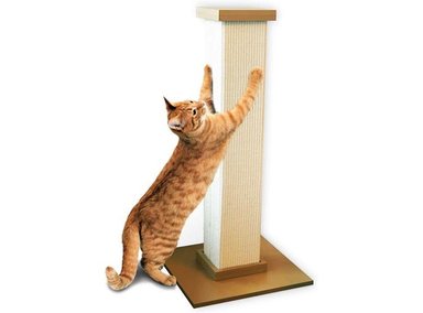 RASCADOR GATOS POSTE ARAÑAZOS BEIGE IDEAL PROTEGER MUEBLES SATISFACER NECESIDADES SMARTCAT
