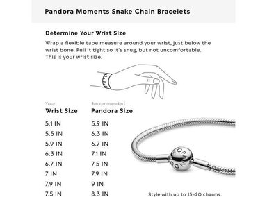 PULSERA PANDORA MOMENTS, COMPATIBLE CON DIJES MOMENTS. REGALO PERFECTO CON CAJA DE REGALO INCLUIDA - 7