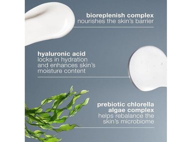 DERMALOGICA EQUILIBRIO INTENSIVO DE HUMEDAD - HIDRATANTE FACIAL CON ÁCIDO HIALURÓNICO PARA PIEL SECA - 5