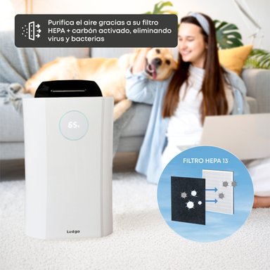 DESHUMEDECEDOR Y PURIFICADOR DE AIRE LUDGA LDG-6310 - 3