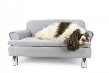 MP SOFA PET 4 PARA PERROS DEMASIA - 1