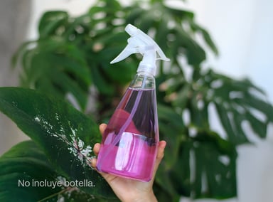 TRIPACK LIMPIATODO EN CÁPSULA EKAU CON AROMA A LAVANDA - 5
