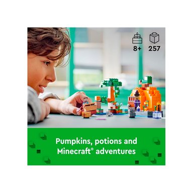 LEGO MINECRAFT THE PUMPKIN FARM 21248 - 2