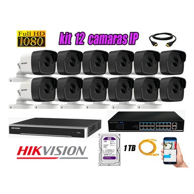 KIT 12 CÁMARA SEGURIDAD HIKVISION IP EXTERIOR + DISCO WD PÚRPURA 1 TB