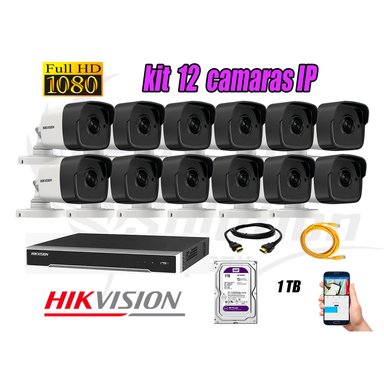 KIT 12 CÁMARA SEGURIDAD HIKVISION IP POE EXTERIOR + DISCO WD PÚRPURA 1 TB