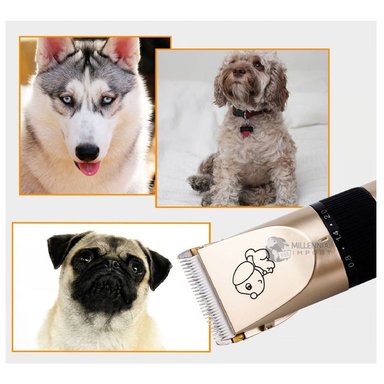 MAQUINA DE CORTE PROFESIONAL PARA MASCOTA KIT COMPLETO INALÁMBRICO - 2