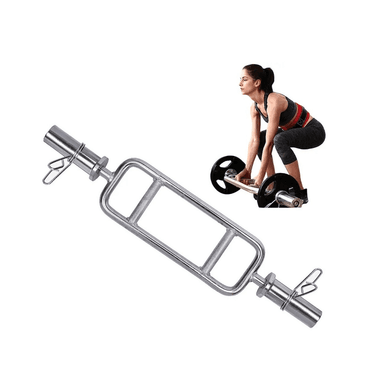 BARRA ROMANA ALPHA GYM ACERO INOXIDABLE OLIMÍCA PESAS Y DISCOS GIMNASIO BARRA IMPORTADA