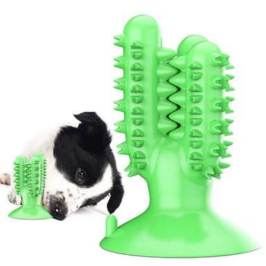 JUGUETE PERRO MORDEDOR CACTUS VERDE