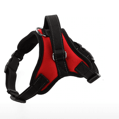 ARNÉS PERROS QUE PATAS PET SHOP PARA RAZAS GRANDES ROJO TALLA M