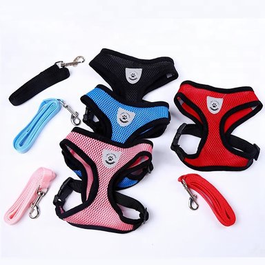 PECHERA PERROS Y GATOS QUE PATAS PET SHOP CON CORREA PARA RAZAS PEQUEÑAS AZUL TALLA S