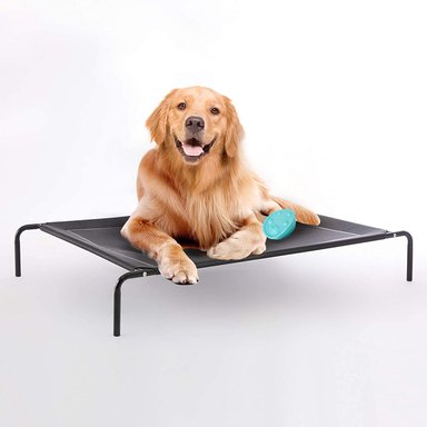 CAMA PERROS ELEVADA BASICA NEGRO TALLA L QUE PATAS PET SHOP