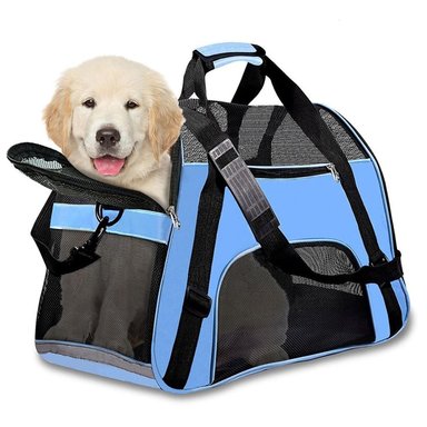 BOLSO TRANSPORTADOR PERROS QUE PATAS PET SHOP AZUL TALLA L