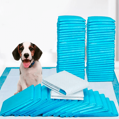 PAÑOS PERRO QUE PATAS PET SHOP 40 ENTRENAMIENTO PACK TALLA L