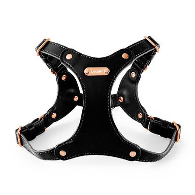 ARNÉS CUERO PERRO QUE PATAS PET SHOP CON CORREA TALLA L NEGRO - 2