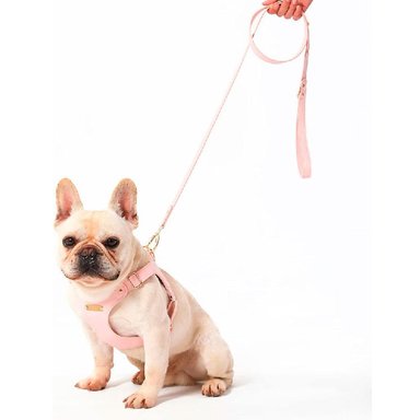 ARNÉS CUERO PERRO QUE PATAS PET SHOP CON CORREA TALLA L ROSADO