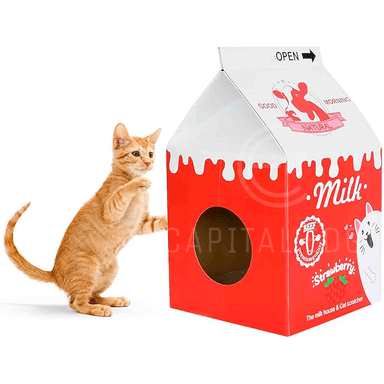 RASCADOR PREMIUM CAJA DE LECHE