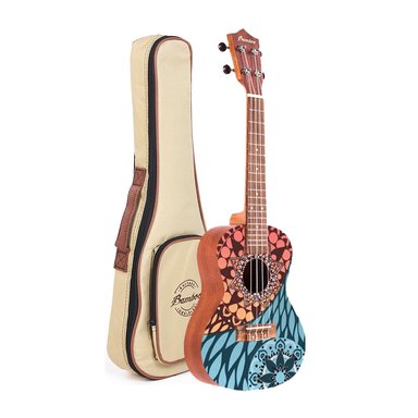 UKELELE CONCIERTO DREAMS LINE - KANI