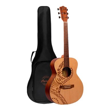 GUITARRA ACUSTICA VISION PACIFICA