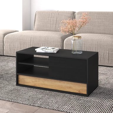 MESA DE CENTRO 2 PUERTAS FRIDA COLOR NEGRO TU MESITA - 1