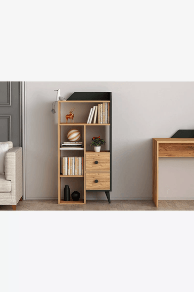 LIBRERO MODERNO VALLEJO CON REPISAS 2 CAJONES TU MESITA