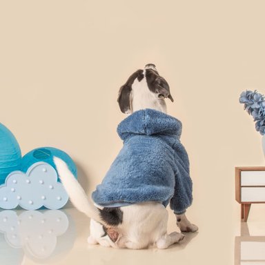 PELUDITO PARA MASCOTAS LETIF PET SHOP AZUL TALLA 8 - 4