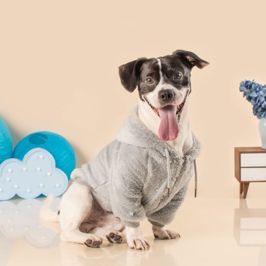 PELUDITO PARA MASCOTAS LETIF PET SHOP PLOMO TALLA 0 - 2