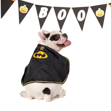 DISFRAZ TERCIOPELO PERRO LETIF PET SHOP BATDOG TALLA 7 - 3