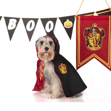 DISFRAZ TERCIOPELO PERRO LETIF PET SHOP DOGGY POTTER TALLA 7 - 4