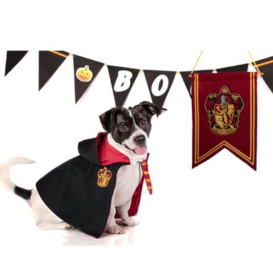 DISFRAZ TERCIOPELO PERRO LETIF PET SHOP DOGGY POTTER TALLA 8 - 2
