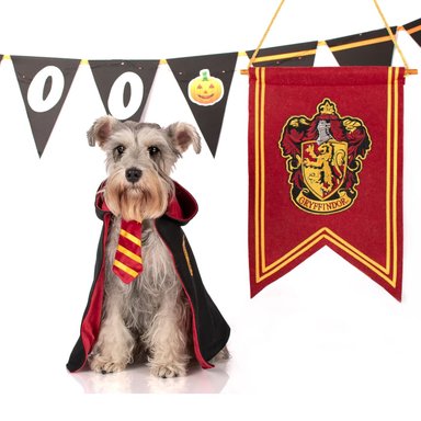 DISFRAZ TERCIOPELO PERRO LETIF PET SHOP DOGGY POTTER TALLA 8 - 3