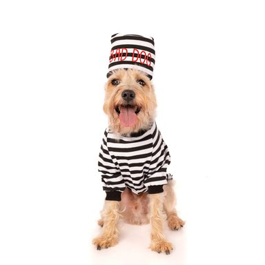 DISFRAZ ALGODÓN PERRO Y GATO LETIF PET SHOP PRESO TALLA 8 - 2