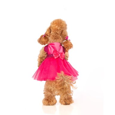 DISFRAZ TERCIOPELO PERRO Y GATO LETIF PET SHOP BARBIE TALLA 4 - 3