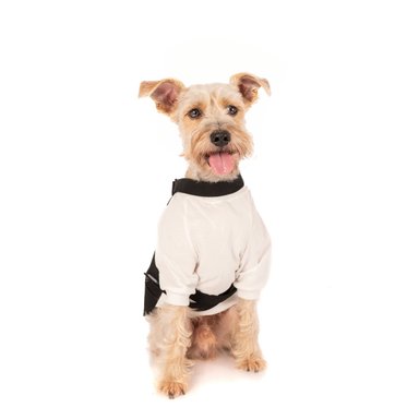 DISFRAZ PERRO Y GATO LETIF PET SHOP GRAN CHEF DOG TALLA 1 - 3