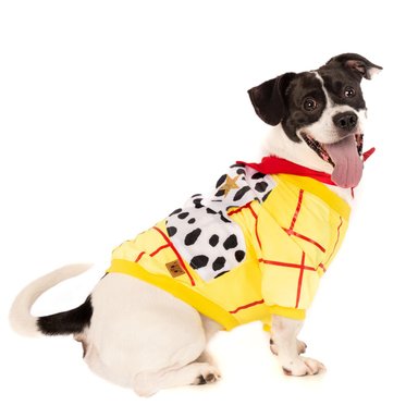 DISFRAZ TERCIOPELO PERRO Y GATO LETIF PET SHOP WOODY TALLA 3 - 2