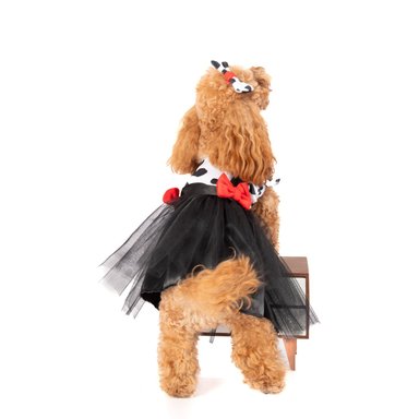 DISFRAZ TERCIOPELO PERRO Y GATO LETIF PET SHOP CRUELLA VIL TALLA 4 - 3