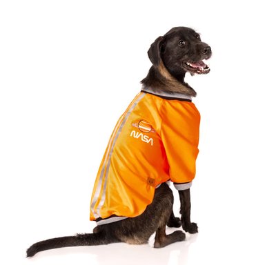DISFRAZ TERCIOPELO PERRO Y GATO LETIF PET SHOP ASTRONAUTA TALLA 5 - 3