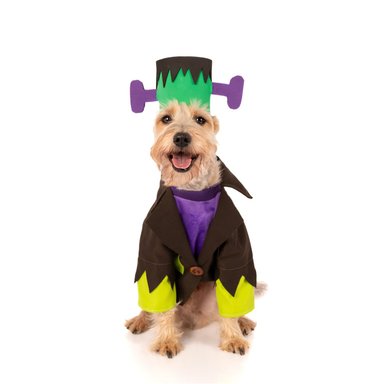 DISFRAZ PERRO Y GATO LETIF PET SHOP FRANKENSTEIN TALLA 2 - 2