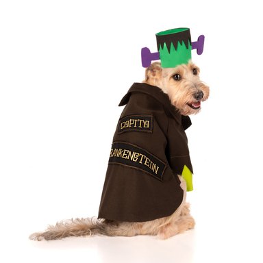 DISFRAZ PERRO Y GATO LETIF PET SHOP FRANKENSTEIN TALLA 2 - 3